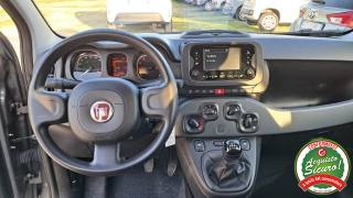 FIAT Panda usata, con Airbag Passeggero