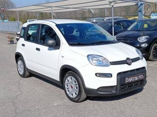 FIAT Panda usata, con Airbag Passeggero
