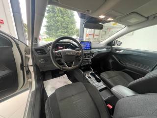 FORD Focus usata, con Fendinebbia