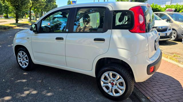 FIAT Panda usata, con Airbag Passeggero