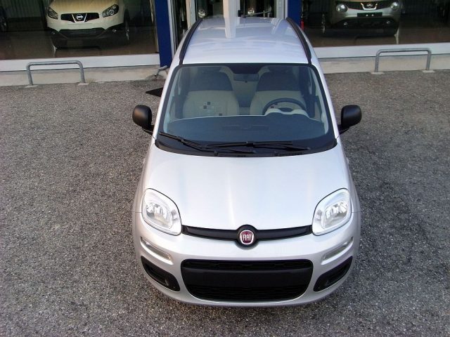 FIAT Panda usata 34
