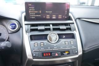 LEXUS NX 300h usata, con Cruise Control