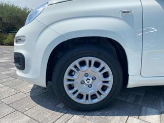 FIAT Panda usata, con Controllo trazione