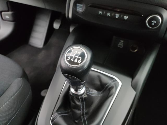 FORD Focus usata 49