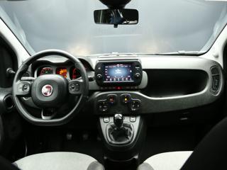 FIAT Panda Cross usata, con Fendinebbia