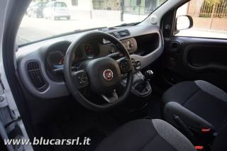 FIAT Panda usata, con Antifurto