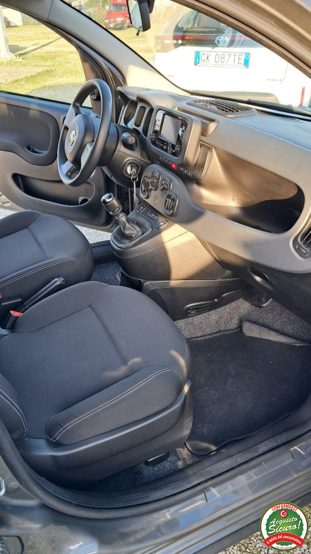 FIAT Panda usata, con Cronologia tagliandi