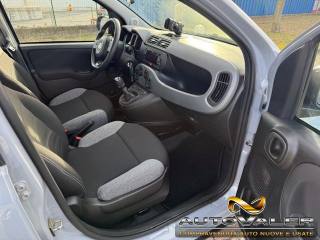 FIAT Panda usata, con Controllo trazione