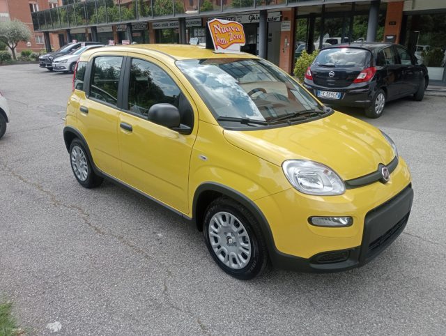 FIAT Panda usata, con Airbag Passeggero