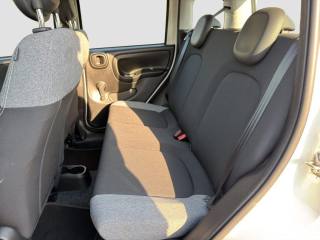 FIAT Panda usata 10