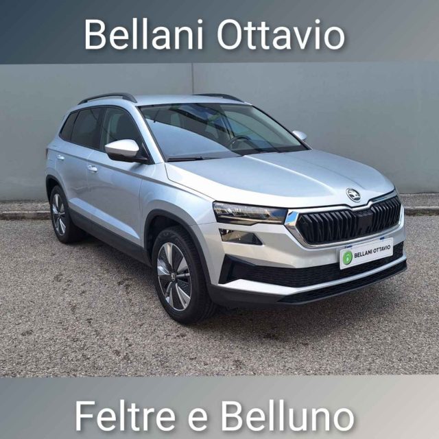 SKODA Karoq usata, con ABS