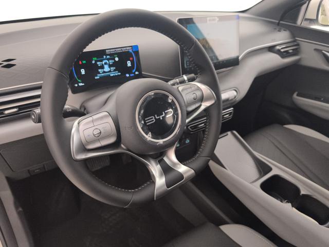 BYD Dolphin Surf usata, con Controllo automatico clima