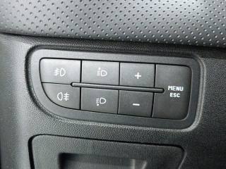 FIAT Punto Evo usata 17