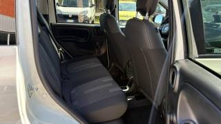 FIAT Panda usata 16