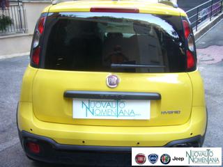 FIAT Panda Cross usata, con Fendinebbia