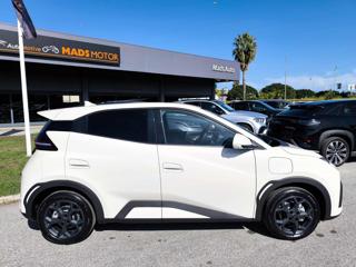 BYD Dolphin usata, con Airbag Passeggero