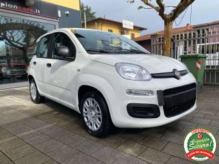 FIAT Panda usata, con Airbag Passeggero