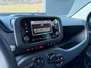 FIAT Panda usata, con Cronologia tagliandi