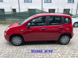 FIAT Panda usata, con Autoradio