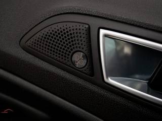 FORD EcoSport usata, con Interni in pelle