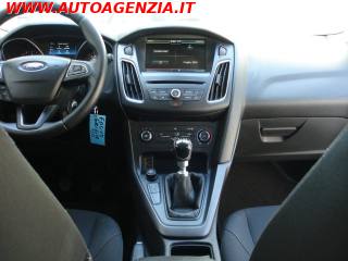 FORD Focus usata 14