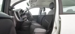 FIAT Panda usata, con USB
