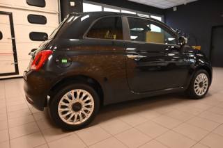 FIAT 500 usata 6