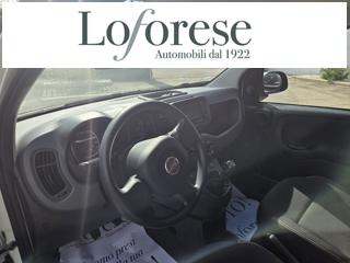 FIAT Panda usata, con Antifurto