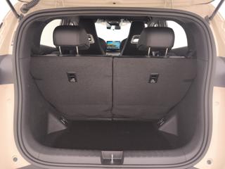 BYD Dolphin Surf usata, con Chiusura centralizzata telecomandata