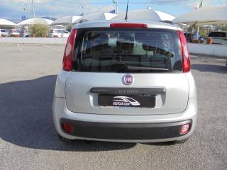 FIAT Panda usata 11