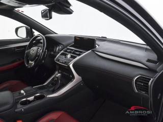 LEXUS NX 300h usata 11