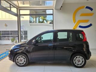 FIAT Panda usata, con Airbag laterali