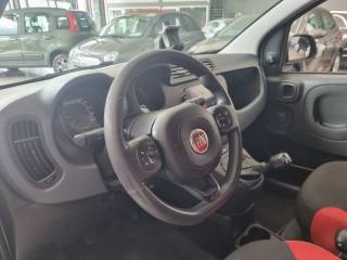 FIAT Panda usata 14