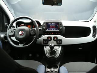 FIAT Panda Cross usata, con Controllo automatico clima