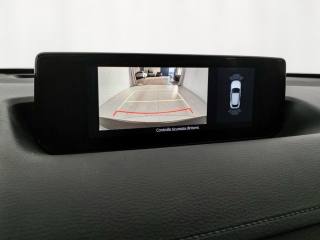 MAZDA MX-30 usata, con Controllo vocale