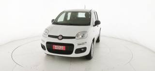 FIAT Panda usata 26