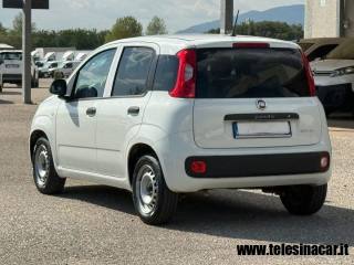 FIAT Panda usata 7