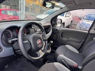 FIAT Panda usata, con Climatizzatore