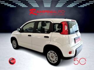 FIAT Panda usata 9