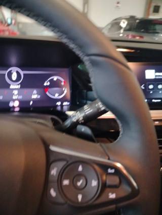 OPEL Grandland usata 28