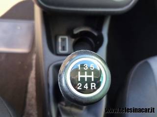 FIAT Punto usata 16