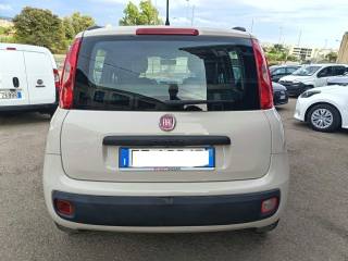 FIAT Panda usata 7