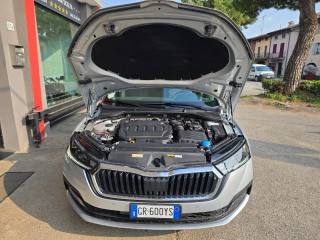 SKODA Octavia usata 154