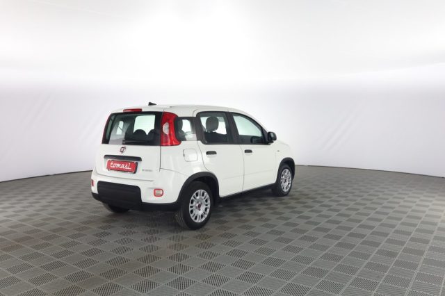 FIAT Panda usata 2