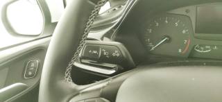 FORD Fiesta usata 40