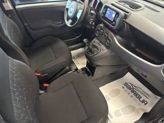 FIAT Panda usata, con Immobilizzatore elettronico