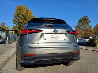 LEXUS NX 300 usata, con Chiusura centralizzata telecomandata