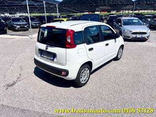 FIAT Panda usata, con Airbag laterali