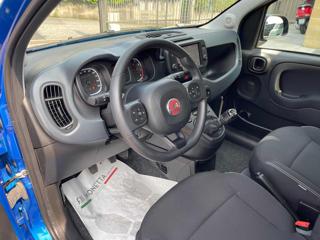 FIAT Panda Cross usata, con Climatizzatore