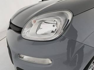 FIAT Panda usata 17